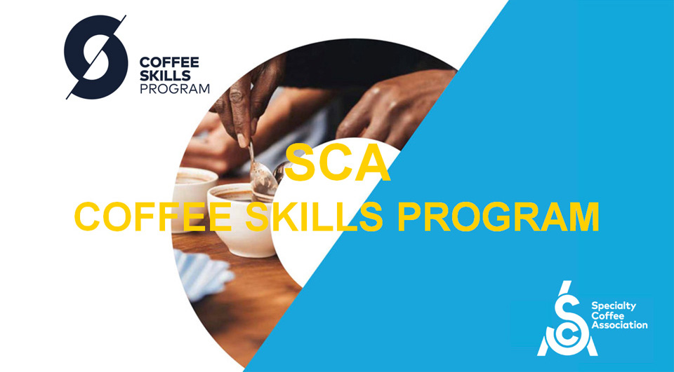 COFFEE SKILLS PROGRAM